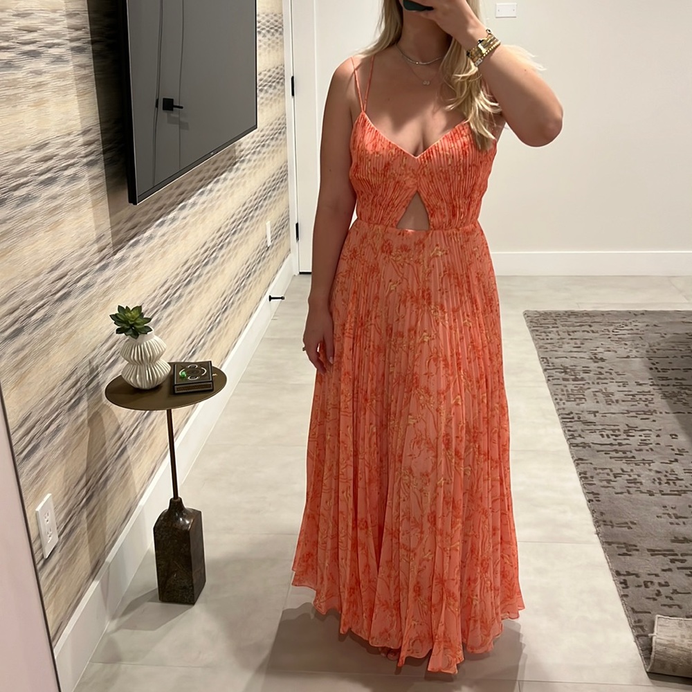 BNWT AMUR pleated chiffon dress